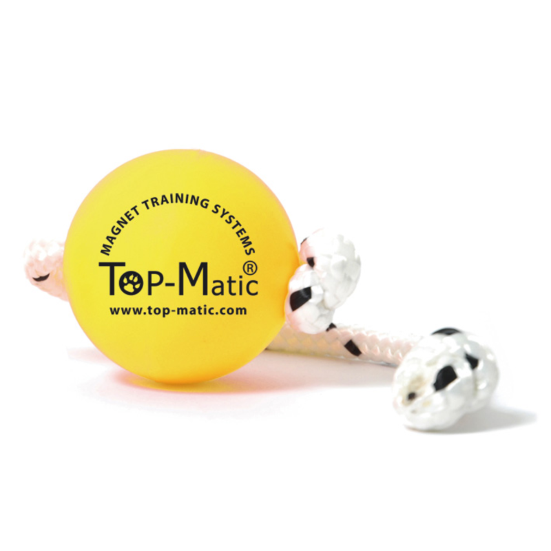 Top Matic Fun Ball
