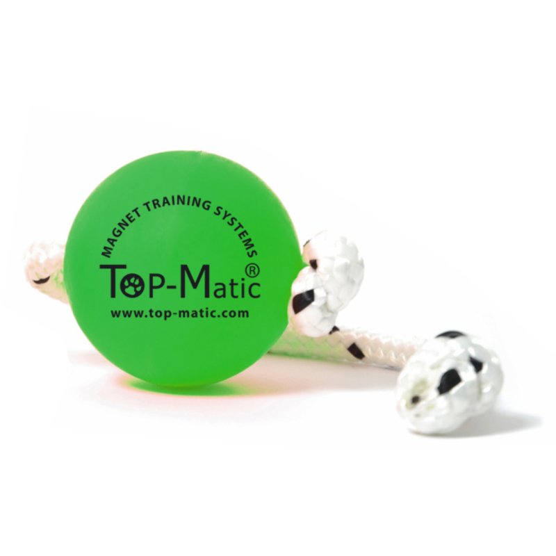 Top Matic Fun Ball