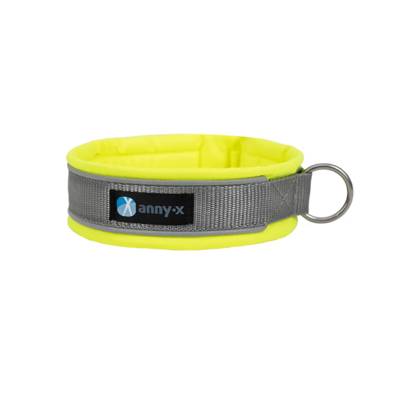 Anny-X Steckhalsband Protect