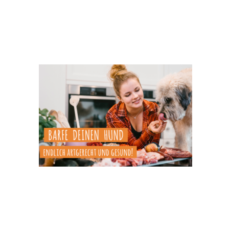 B.A.R.F – Online Kurs